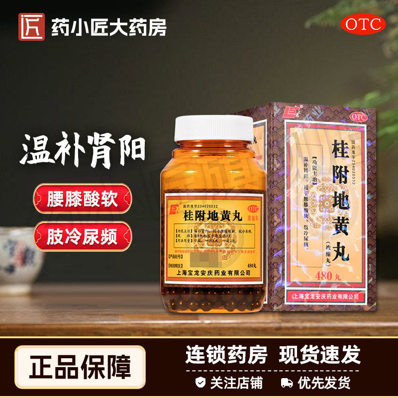 【上龙】桂附地黄丸(浓缩丸)0.375g*480丸/盒