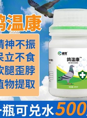 雄牧鸽温康鸽子拉稀便绿水便鸽子缩头炸毛软腿歪脖精神不振鸽疫清