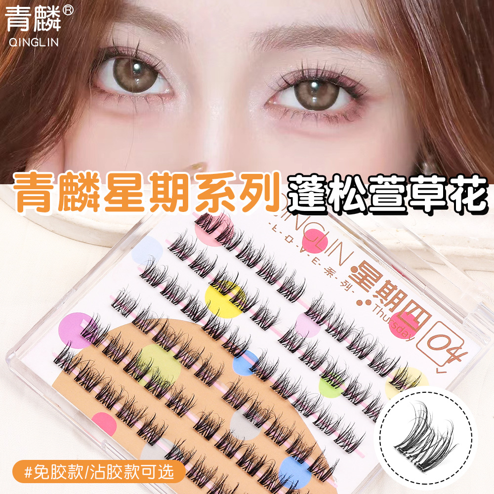 青麟超细透明梗萱草花自然蓬松