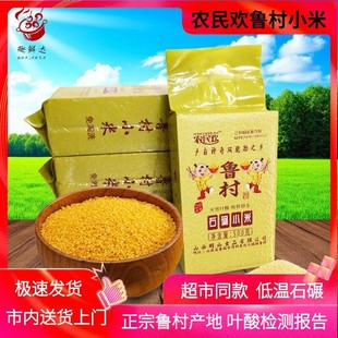 新米农民欢鲁村小米500g*4真空米砖高叶酸农家月子米山西晋城特产
