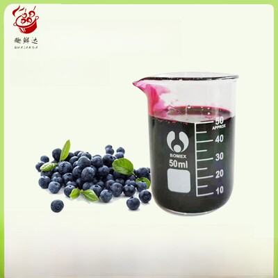 蓝莓浓缩汁浓缩果蔬汁大全家用商用 Blueberry Concentrate蓝莓汁