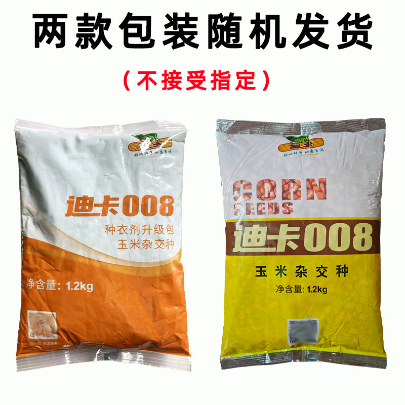 迪卡008玉米杂交种子春夏可种玉米种籽