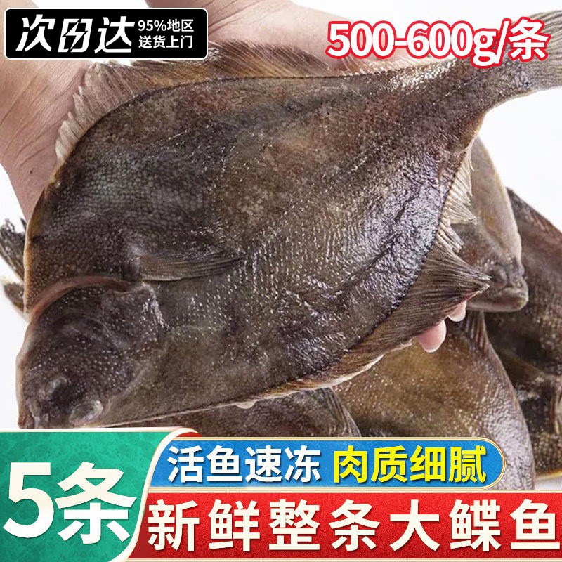 新鲜整条鲽鱼新鲜冷冻大鲽鱼
