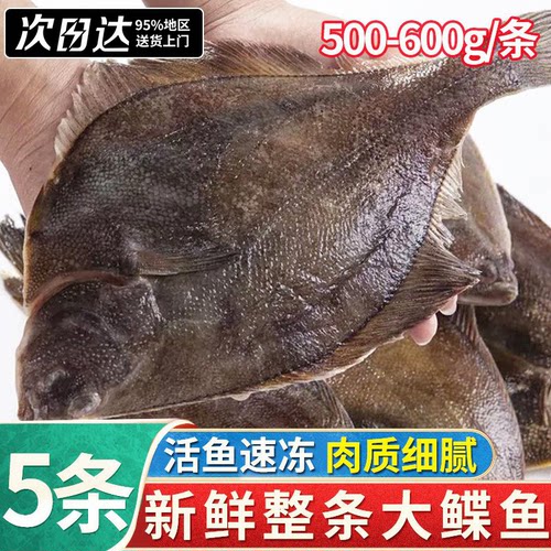 新鲜整条鲽鱼新鲜冷冻大鲽鱼