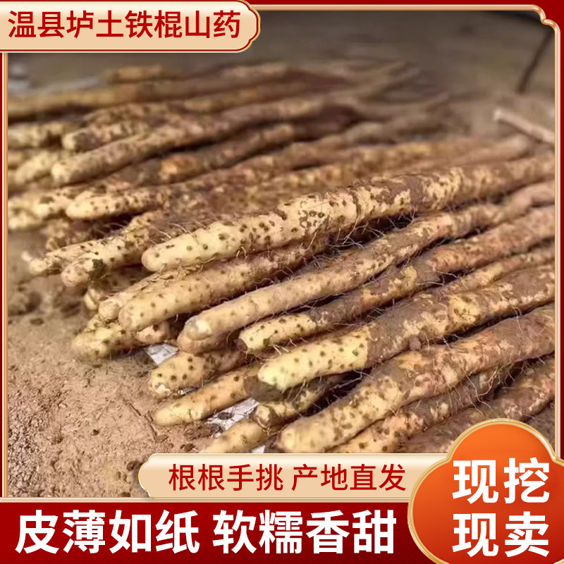 正宗新鲜现挖铁棍山药软糯现挖现发滋补新鲜河南焦作温县怀庆特产