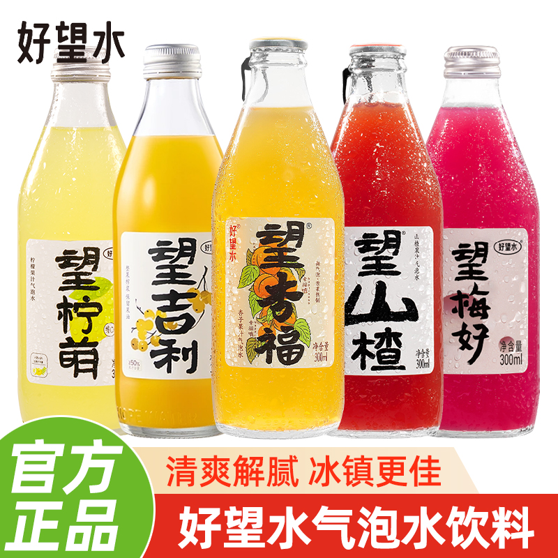 好望水气泡水300ml瓶望山楂杨梅