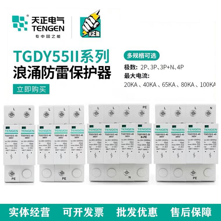 天正电气TGDY55II-20/40KA浪涌电涌保护器2P4P防雷避雷器380V385V