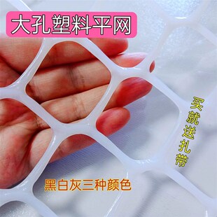 大孔塑料网封阳台防护围栏爬藤防坠宠物隔离养殖鸡鸭鹅网格防猫网