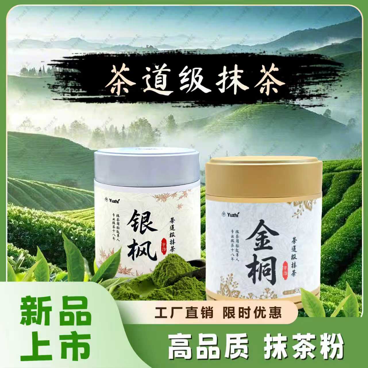 宇治抹茶金桐宇治50g罐装
