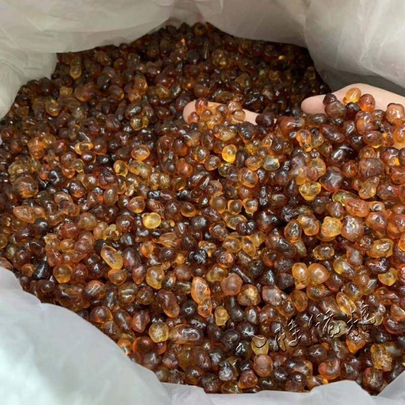 珍珠野桃500MKV云胶南桃g胶天然生非特级桃油桃胶丽霞桃胶羹晓娜