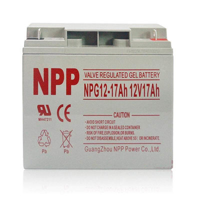 NPG12-24消防照明 EPS/UPS电源专用耐普电池12V24AH