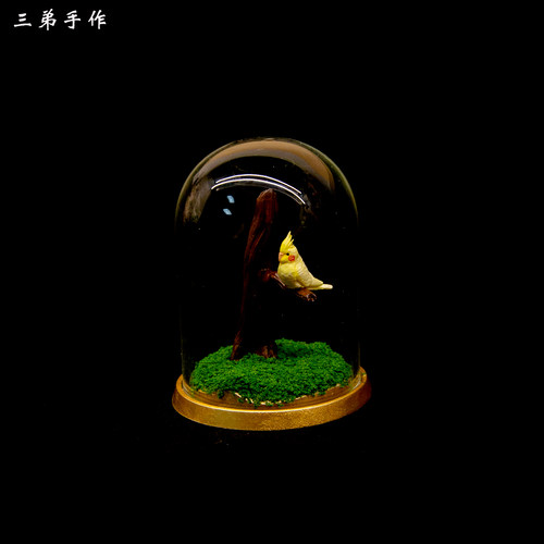个性创意小鸟玄凤鹦鹉手办鹦鹉场景模型3D打印树脂手工涂装礼物