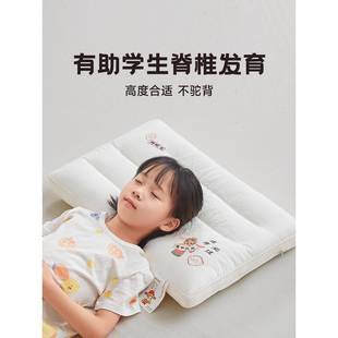 通用儿童青少年逢考必过家用一对宿舍枕芯 学生枕头助睡眠天丝四季