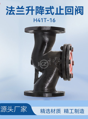 H41T-10旋启式止回阀 铸铁铜芯法兰升降式阀DN50 80 100 150 200