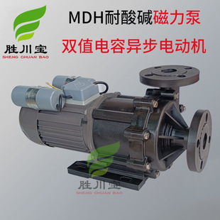 胜川宝磁力泵MPH 系列单相220V磁力泵双值电容异步电动机 MDH