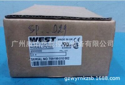 英国西部P6100温控表200000