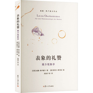 表象的礼赞 媒介现象学