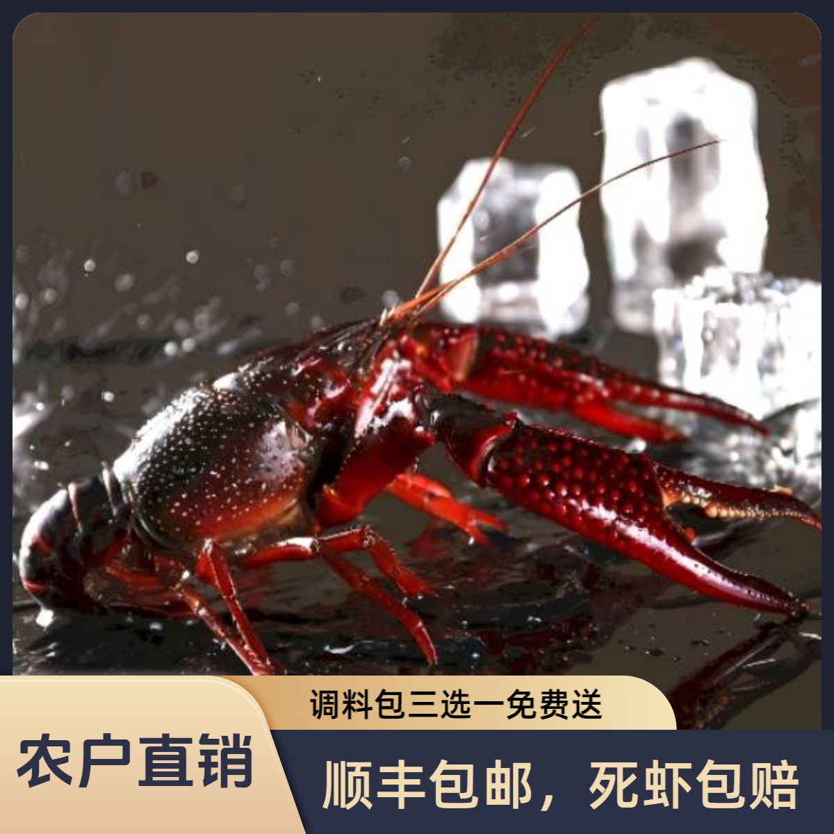 顺丰空运 湖北鲜活小龙虾3斤7-9钱家庭装养殖基地现捕现发送调料
