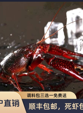 顺丰空运 湖北鲜活小龙虾3斤9-12钱家庭装养殖基地现捕现发送调料