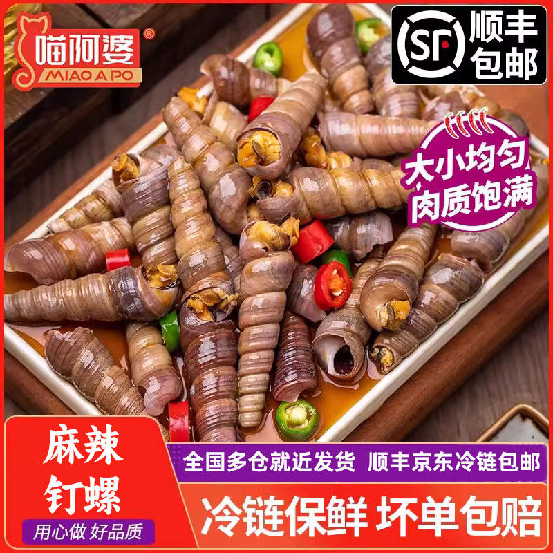 喵阿婆麻辣钉螺海螺丝捞汁小海鲜香辣海锥醉钉锥熟食即食罐装海鲜
