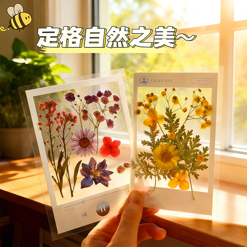 干花书签手工diy材料透明书签压花贴纸包学生标本夹贴植物花草标本夹贴手工DIY书签材料包唯美干花朵装饰摆件