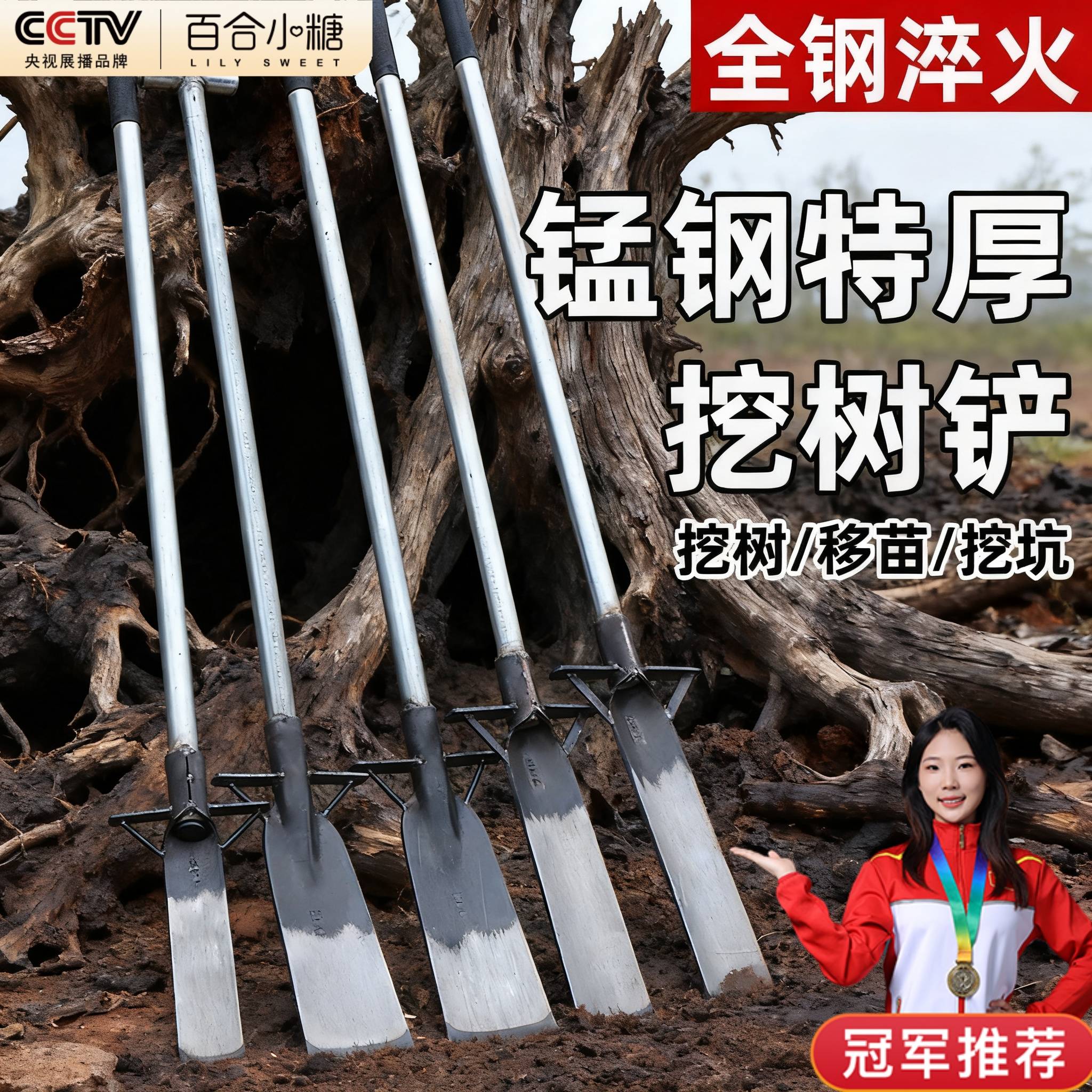 洛阳铲锰钢铁锹专业挖笋神