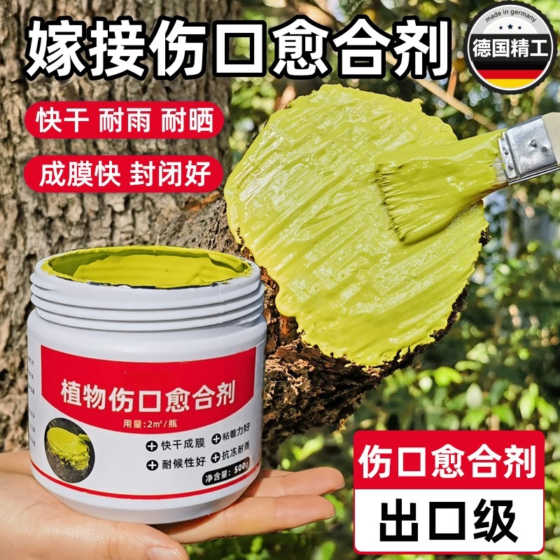 嫁接伤口愈合剂植物树木果树盆景月季兰花树皮树桩切口修复涂抹膏,鲜花速递/花卉仿真/绿植园艺,家庭园艺肥料,淘宝优惠券,粉丝福利购,淘宝优惠卷