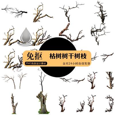 枯树枯木树干树枝残破树木高清免抠剪贴透明PNG图片海报设计素材