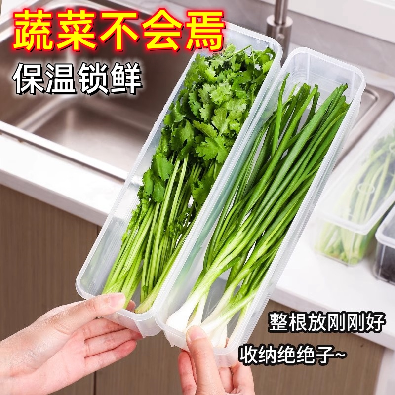 小葱香菜保鲜盒装放大小葱姜蒜香葱冷冻盒长条冰箱收纳盒整理神器