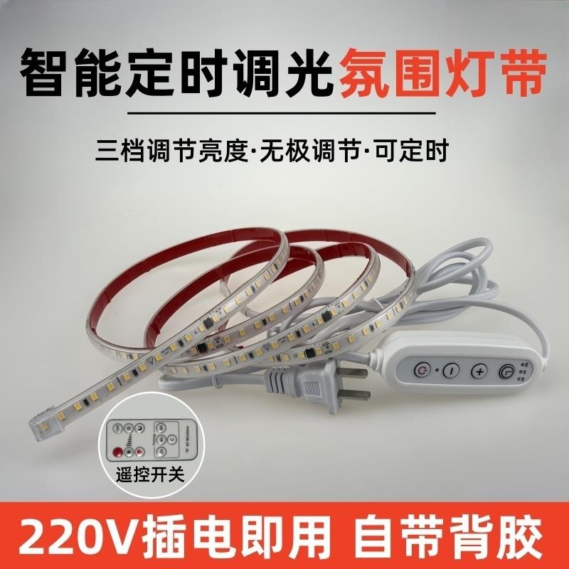 高压220V智能定时无极调光灯带led灯条自粘超亮开关床头氛围灯带