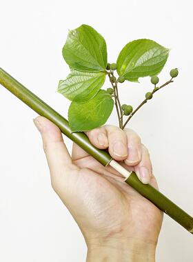 竹管枪竹汽枪儿童竹玩具安全