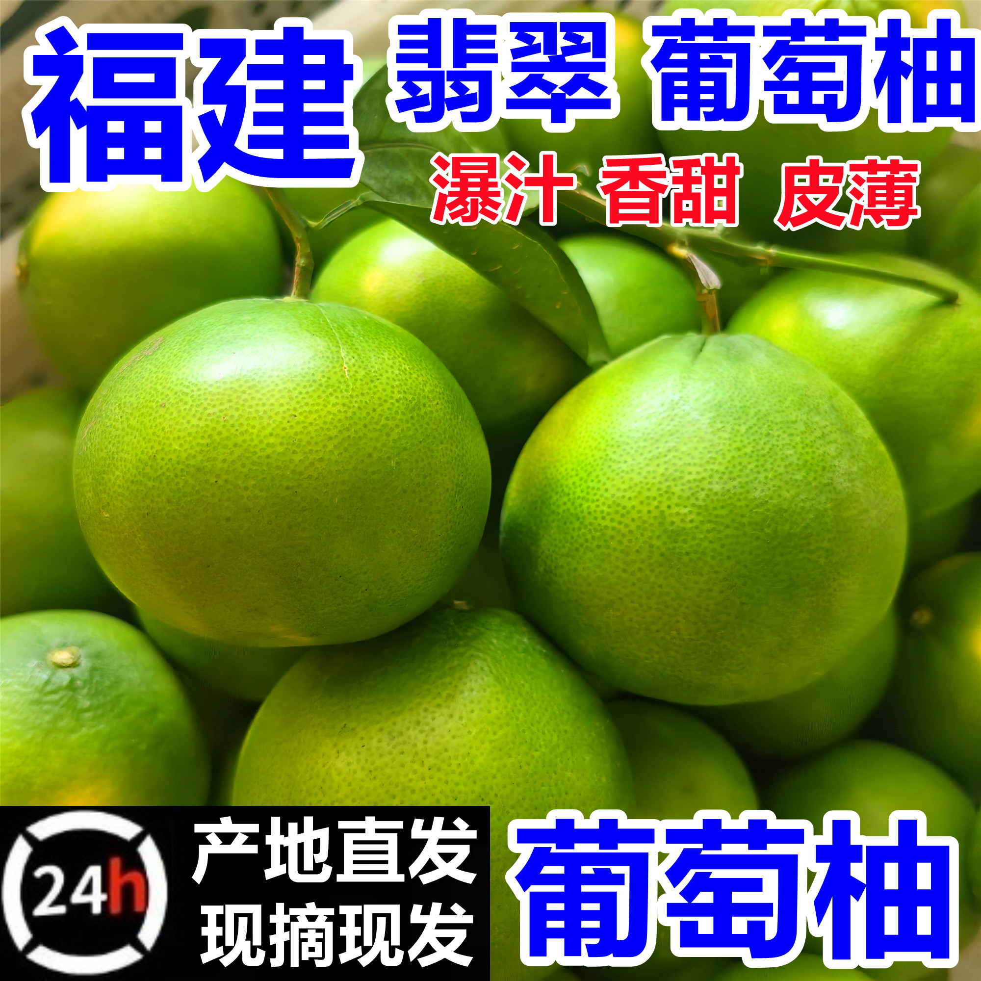 【10万回头客】果农直发葡萄柚