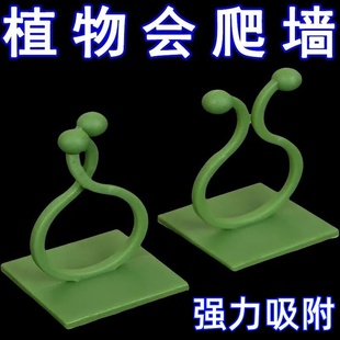 绿萝爬上神器爬墙上固定器绿植攀爬夹子墙上无痕挂钩强力粘爬藤杆