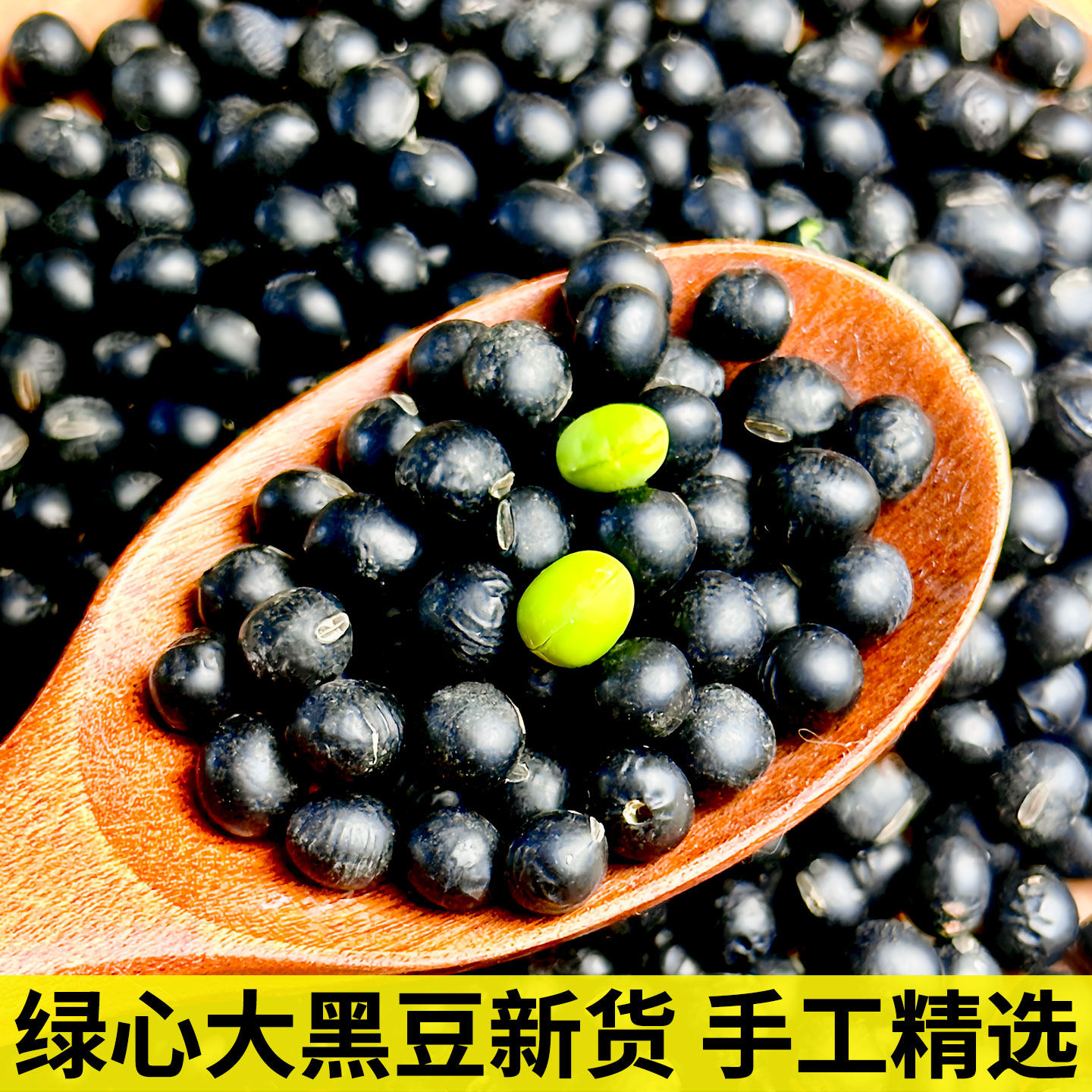 绿心黑豆农家老品种大颗粒黑豆 精选新货绿芯黑豆 豆香浓郁打豆浆