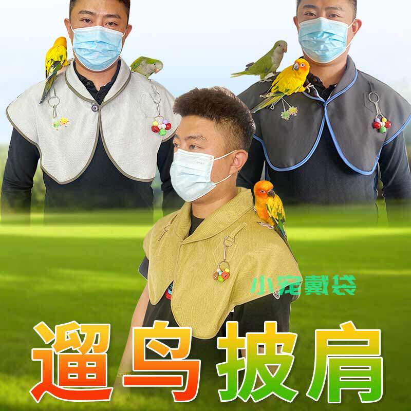 鹦鹉小宠虎皮玄凤防咬牡丹尿不湿