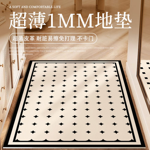 超薄1mm不卡门极薄入户地垫pvc进门口内外脚垫子皮革地毯耐脏免洗