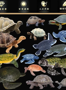 仿真海洋生物模型 海龟陆龟巴西龟象龟甲鱼棱皮龟加拉帕戈斯象龟