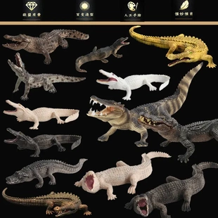 实心仿真鳄鱼模型套装 尼罗鳄扬子鳄野猪鳄短吻鳄动物玩具帝鳄