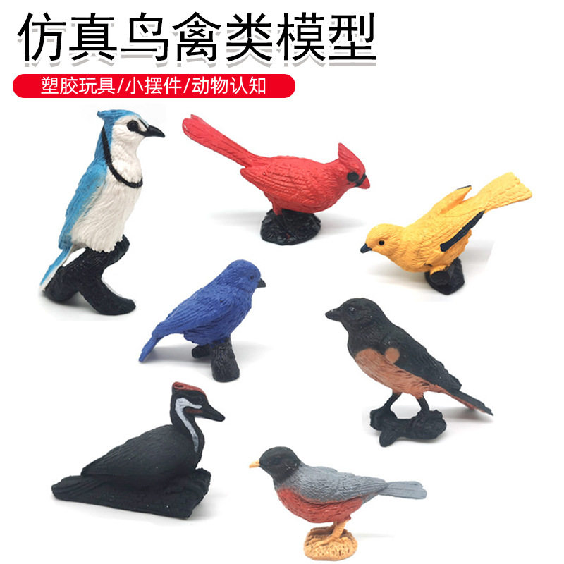 亚马逊鸟类模型玩具飞禽蜂鸟