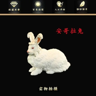 实心仿真动物模型套装动物玩具安哥拉兔长毛兔兔儿童早教礼物