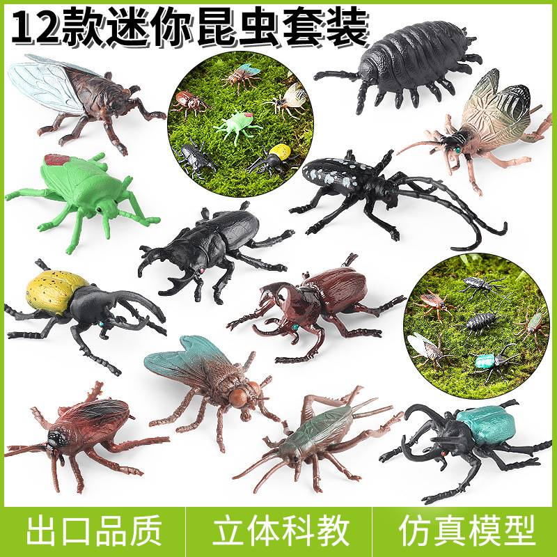 动物模型仿真昆虫玩具万圣节实心