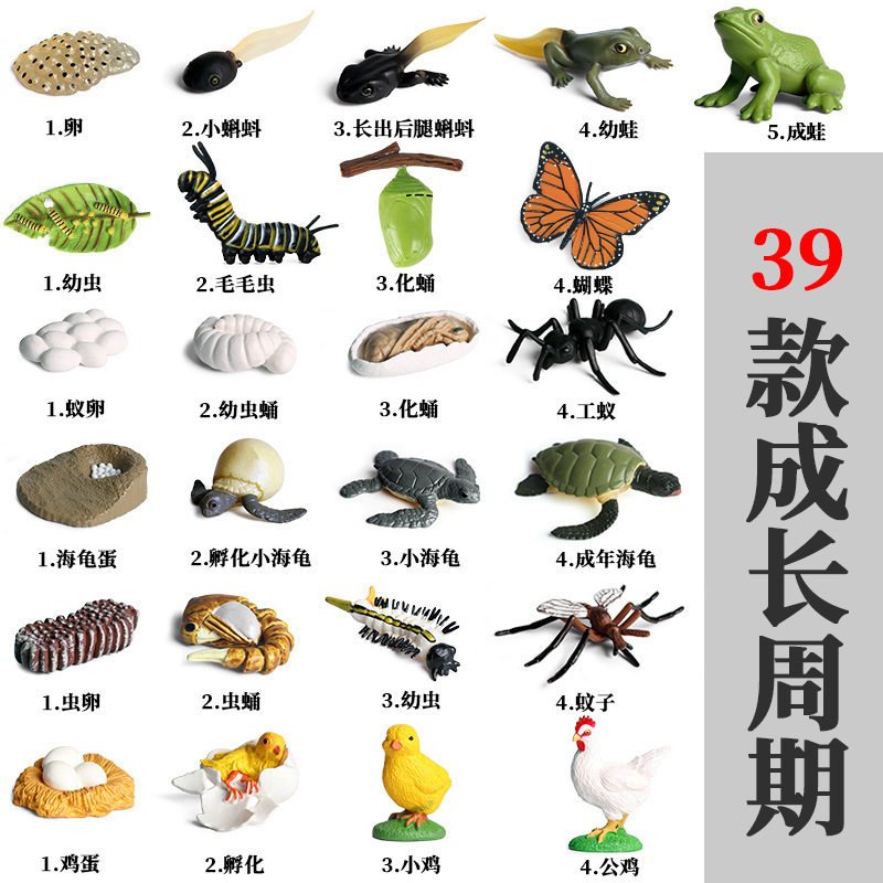 仿真动物模型小蝴蝶公鸡蚂蚁青蛙