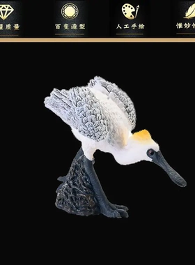 儿童仿真动物玩具模型套装飞行鸟类秃鹗鲸头鹤红嘴鸥儿童认知摆件