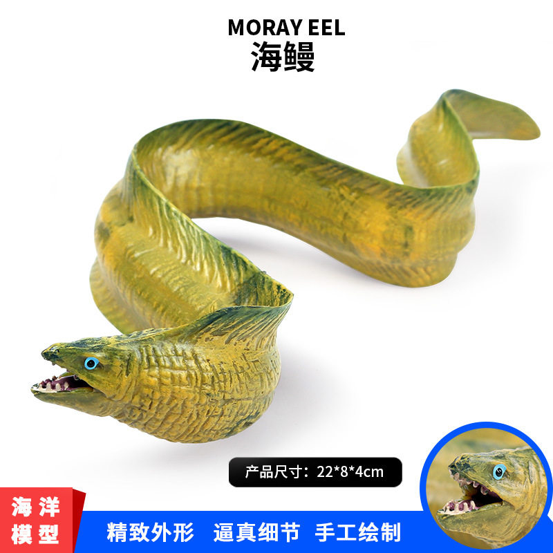 儿童海洋生物模型仿真鳗鱼电鳗