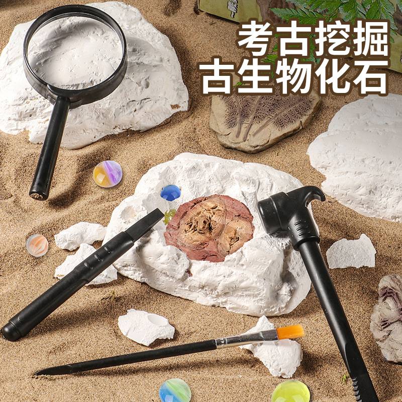 儿童益智科教考古玩具挖掘古生物
