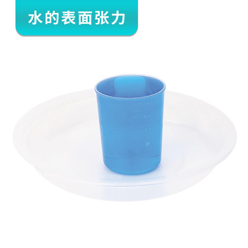 水表面张力小学科学实验课儿童