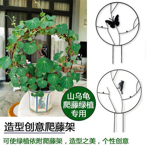 山乌龟爬藤架子花支架园艺铁线莲攀爬月季花架植物盆室内花卉装饰,鲜花速递/花卉仿真/绿植园艺,花架,淘宝优惠券,粉丝福利购,淘宝优惠卷