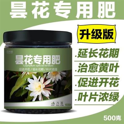 昙花专用肥琼花肥料昙华营养液韦陀花复合肥鬼仔花有机肥缓释肥