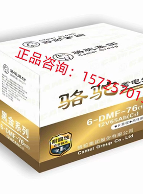 骆驼蓄电池6-DMF-76老年代步车