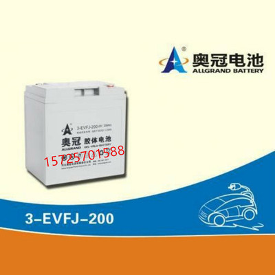 奥冠3-EVFJ-200观光巡逻车